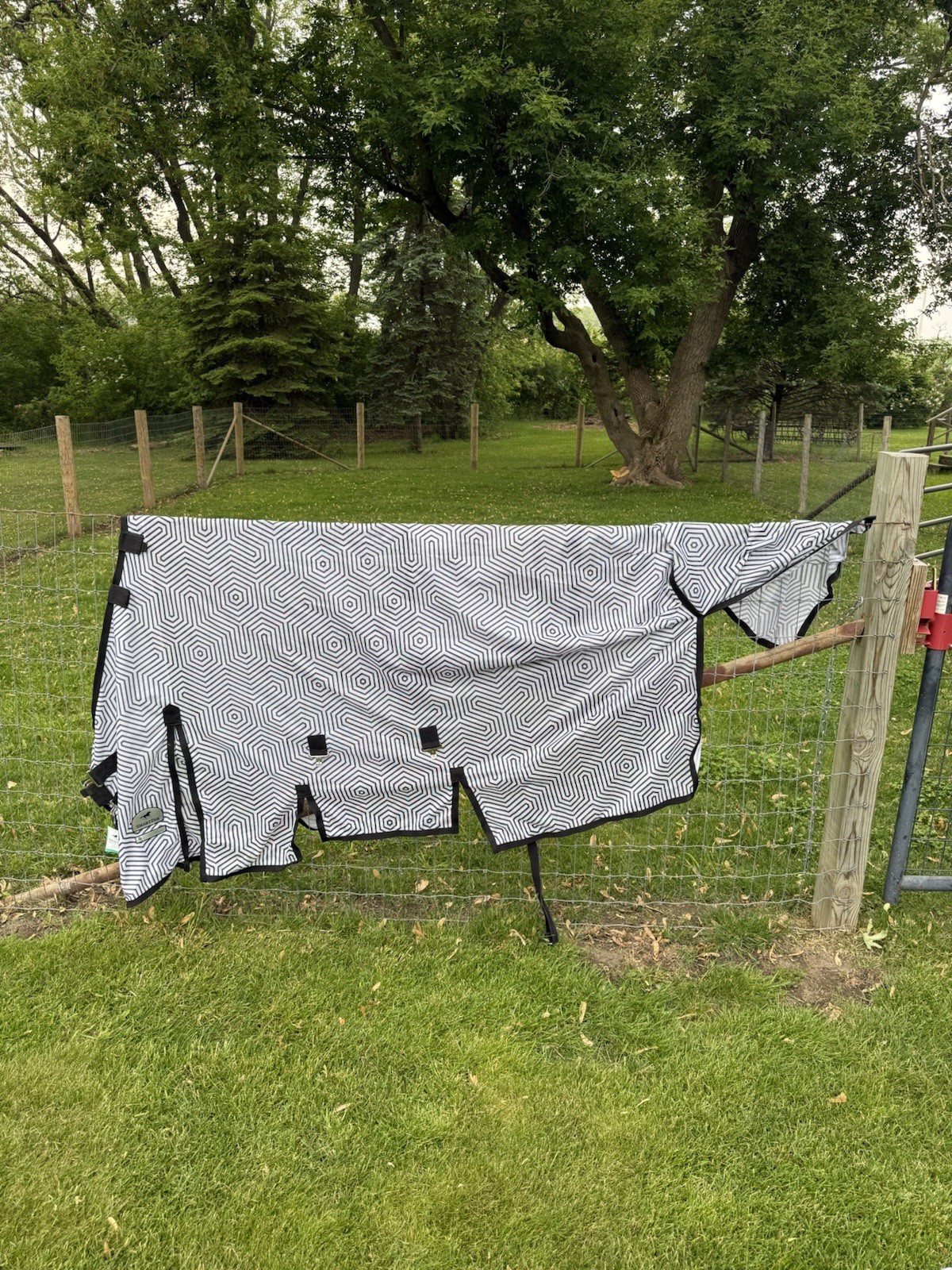 Smart Pak  Fly Sheet 78”
