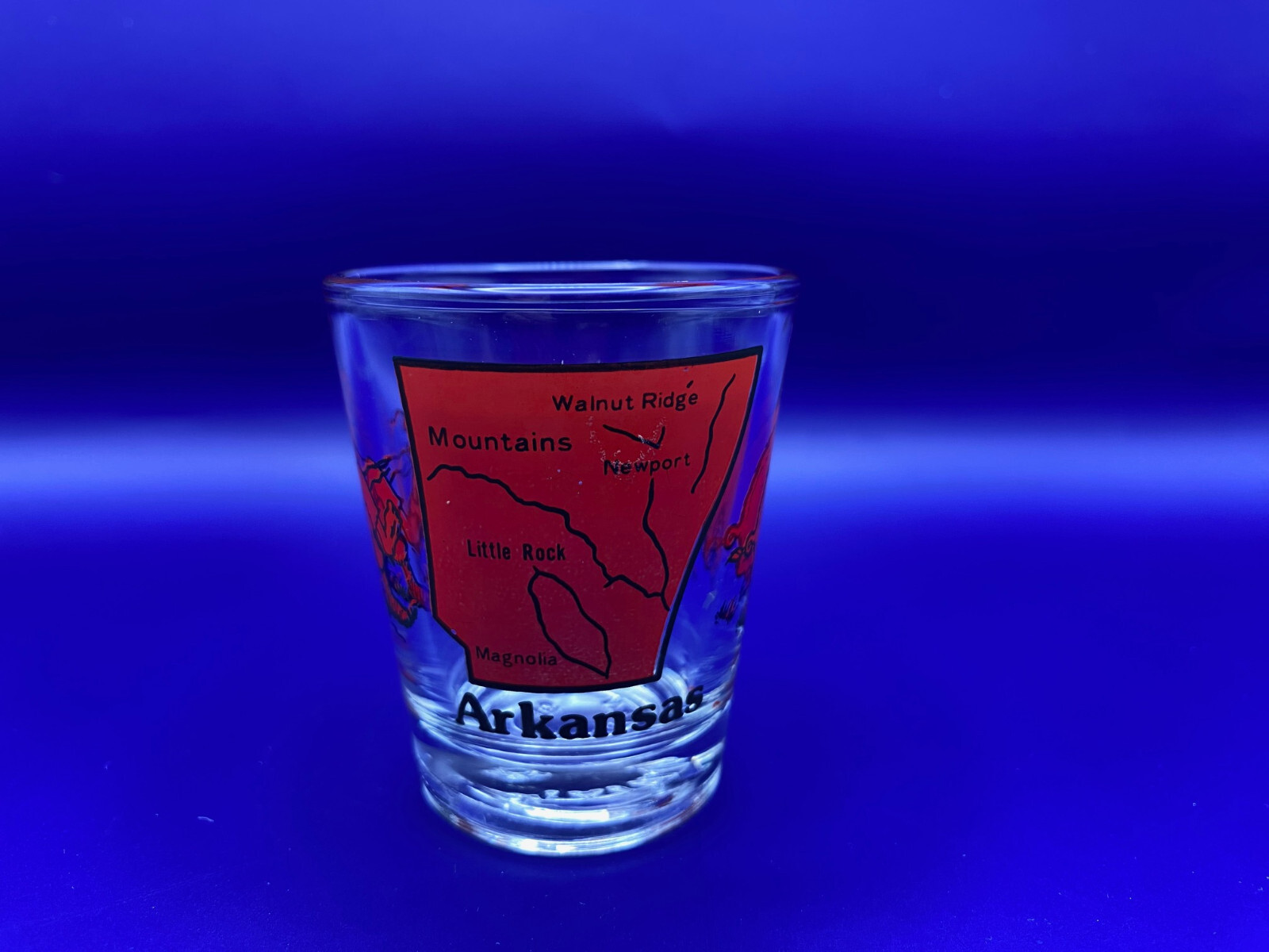 Arkansas Souvenir Shot Glass