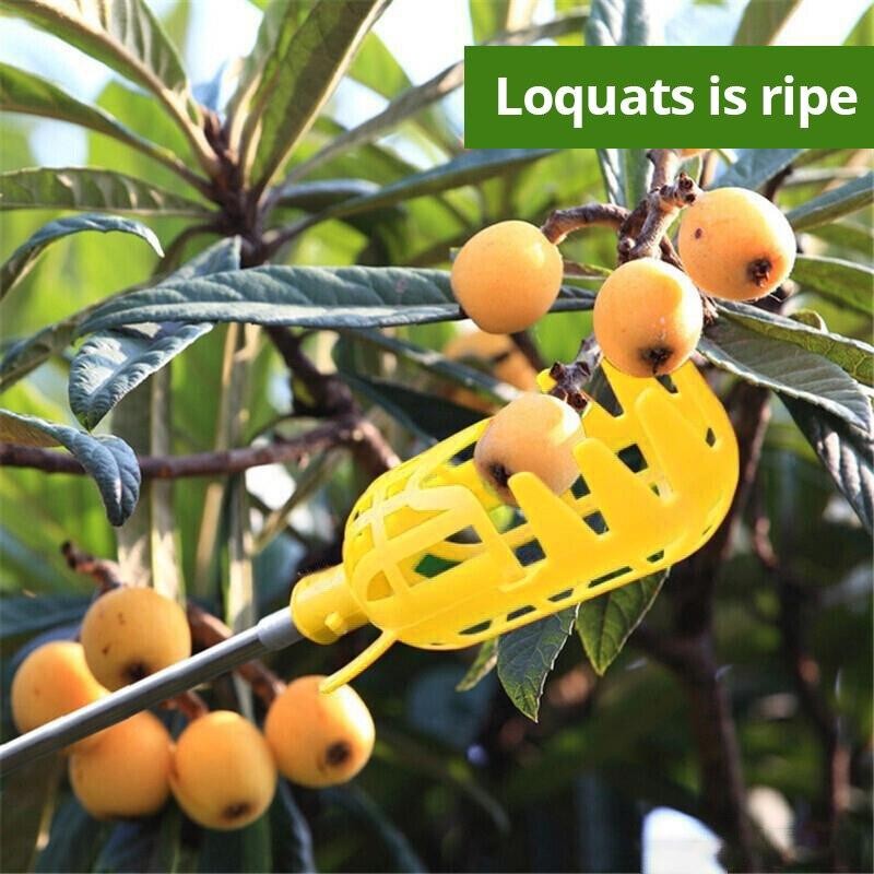 1pc Orange Fruit Picker Lightweight Ergonomic Garden Harvest Tool