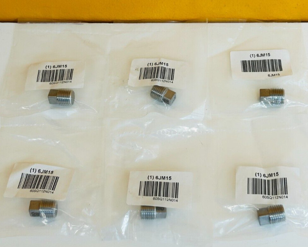 Grainger 6JM15 /60SQ112N014 (Lot of 6) 1/4" Pipe, 316LSS, Square Head Plug. New!