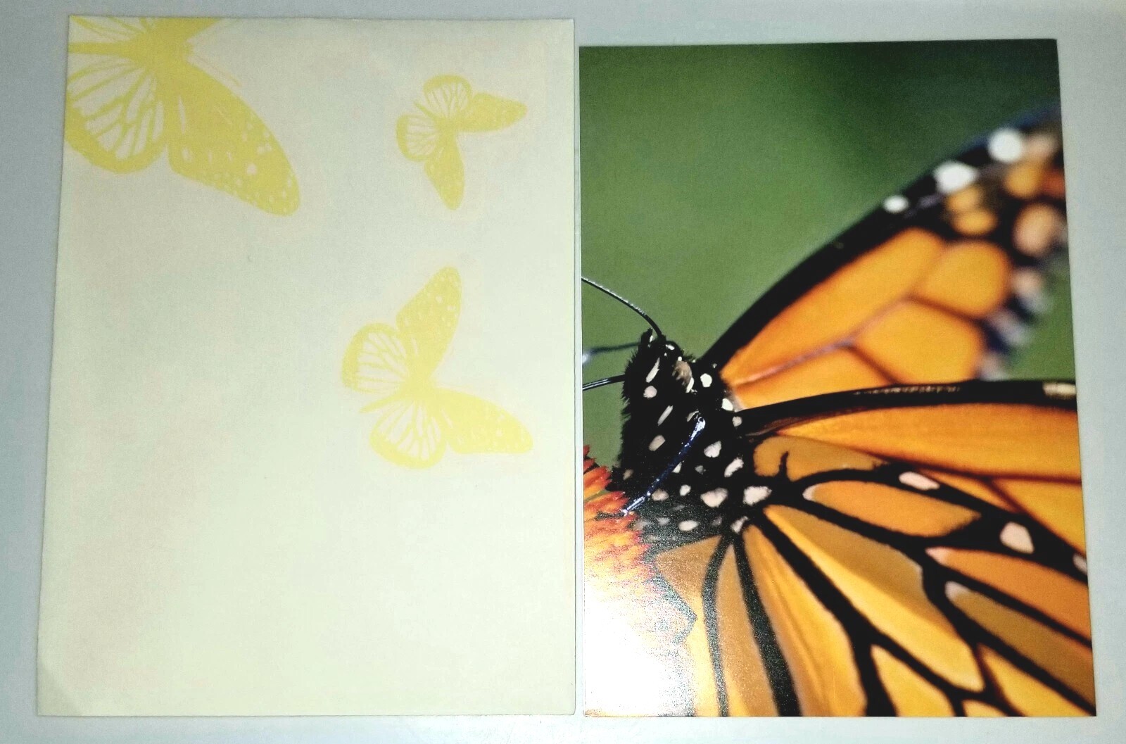 Monarch Butterfly Note Card. 5 X 7 In. Colorful Nature.  With Butterfly Envelope