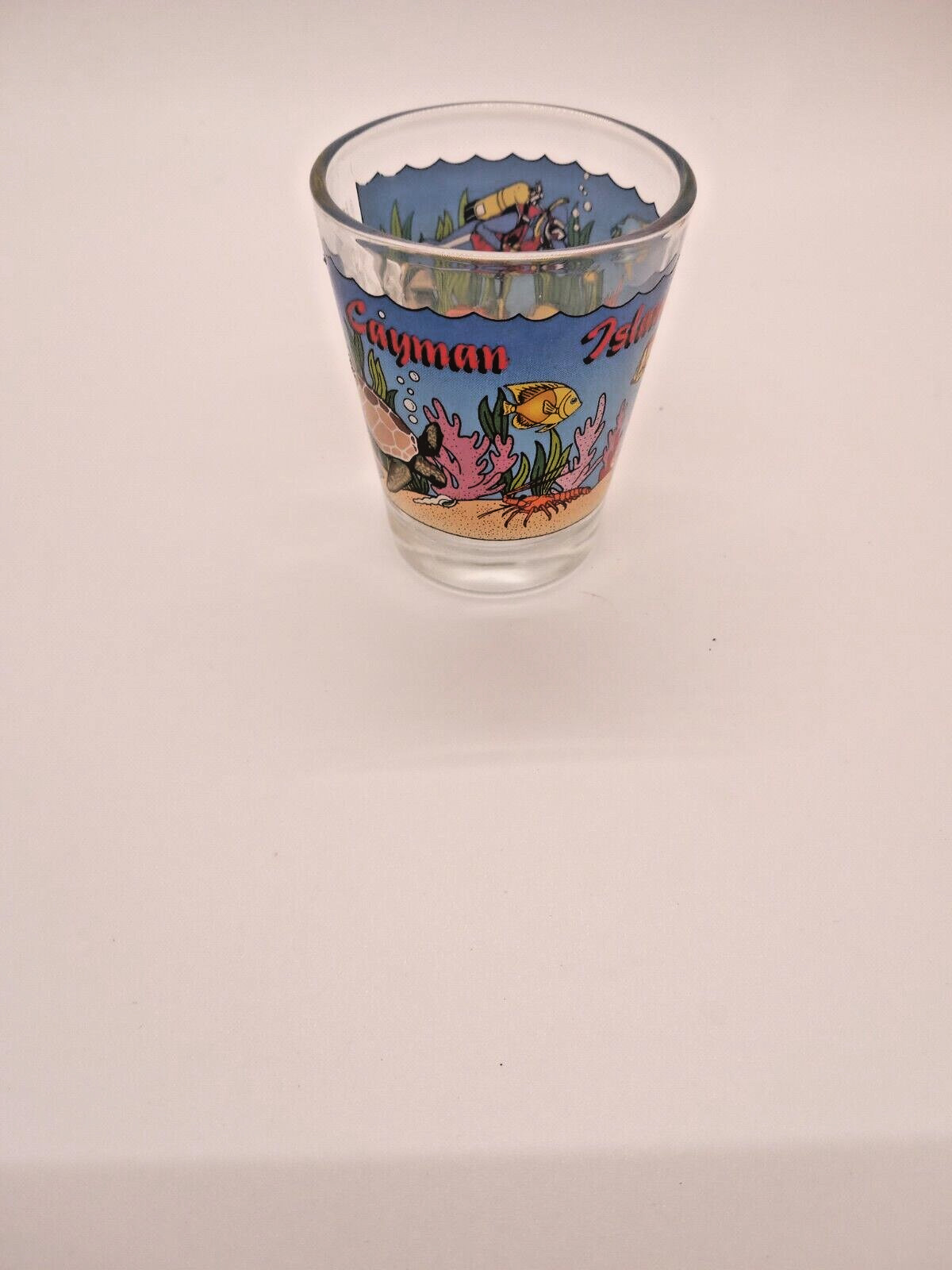 Cayman Islands Shot Glass Tropical Fish Design Souvenir