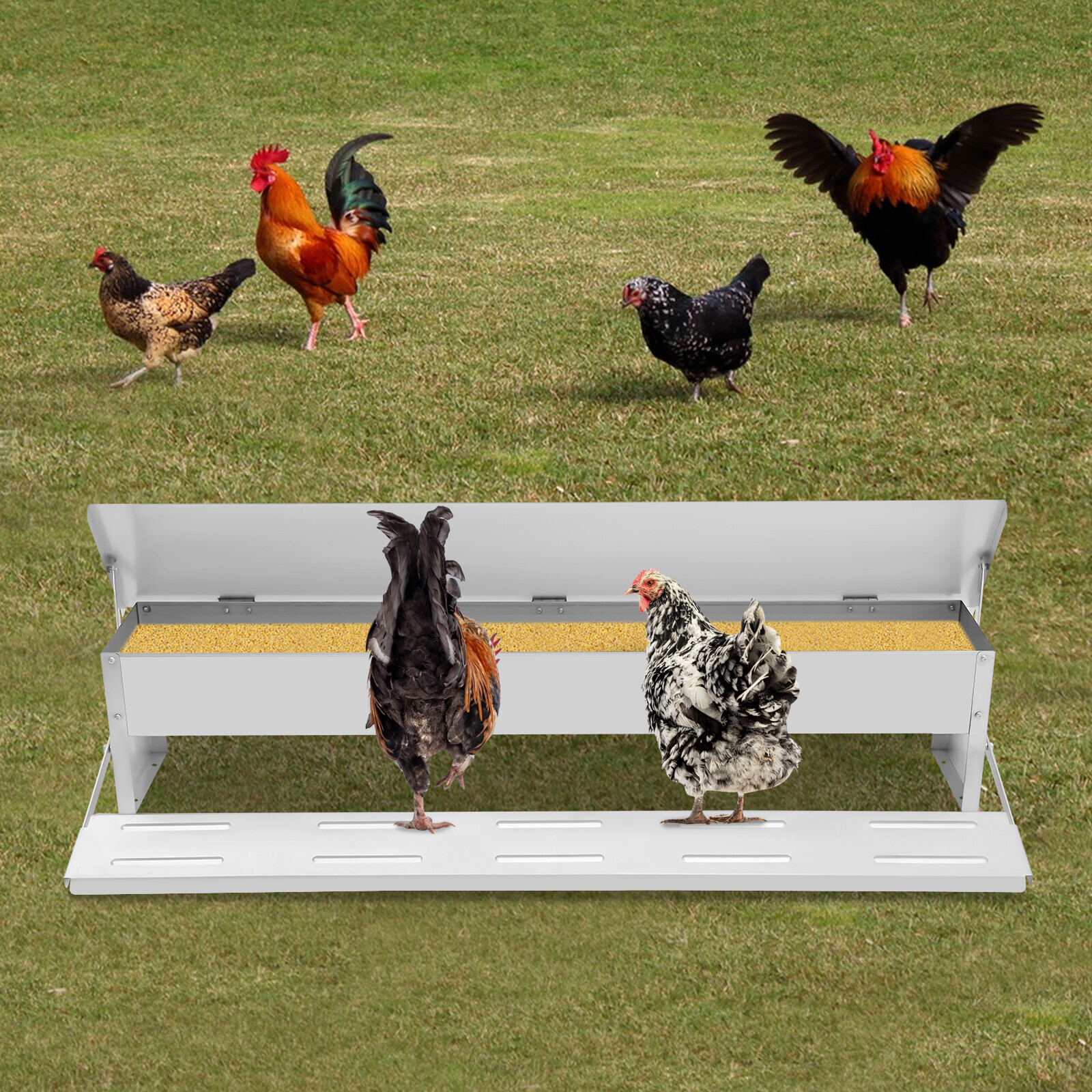 Automatic Chicken Feeder Large Capacity Poultry Trough 10kg