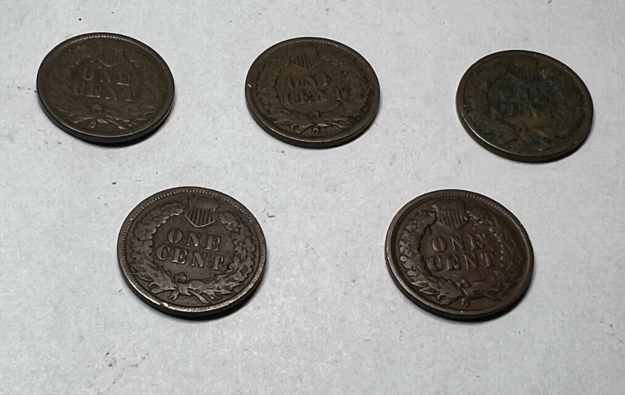 Indian Head Cents 1859-1909 (1 coin) Random Dates