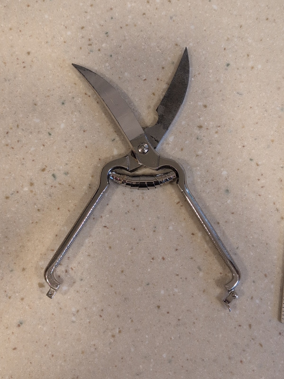 Wusthof Rostfrei Germany 10" Locking Poultry Shears Scissors with Spring