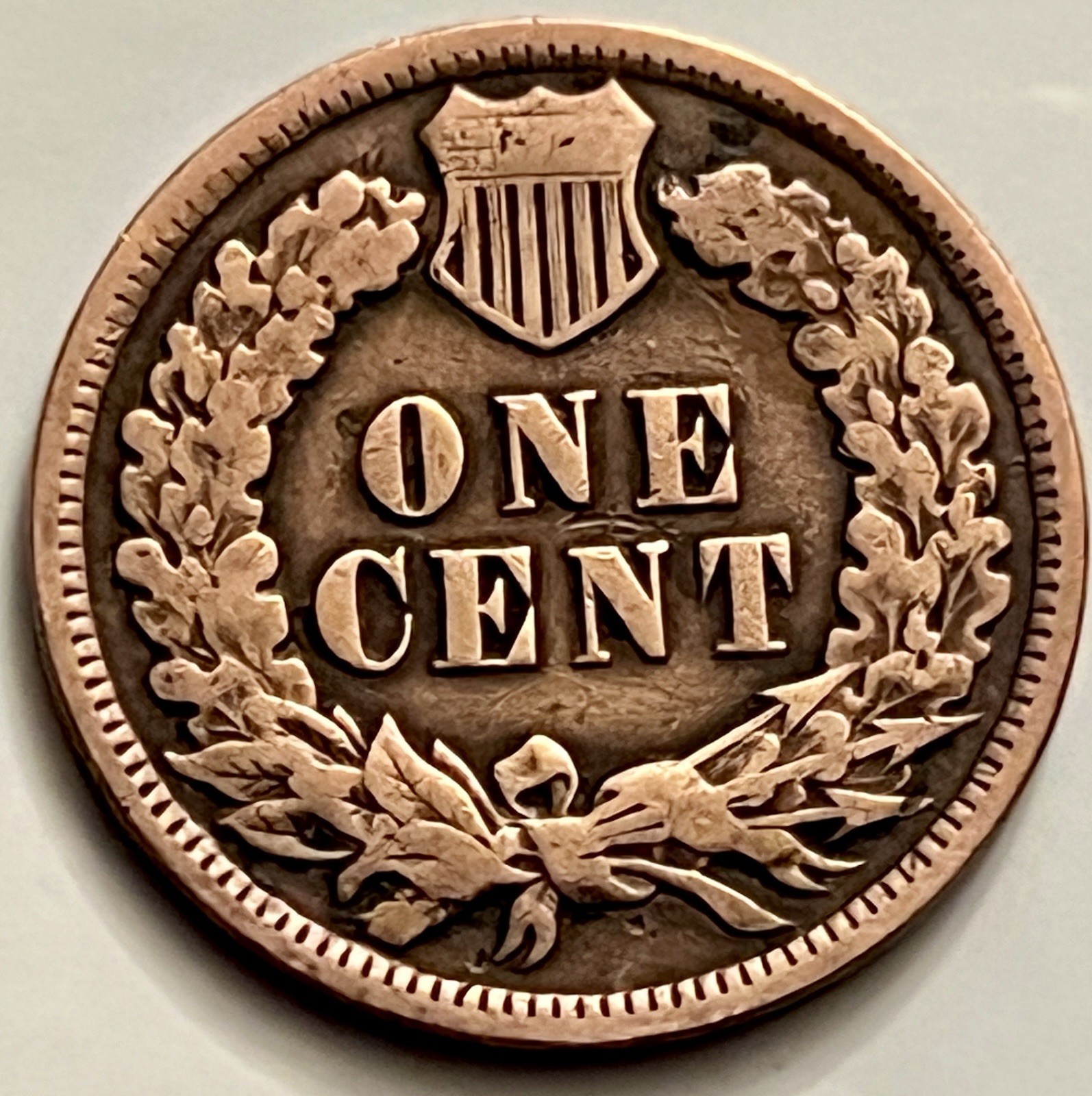 1904 Indian Head Cent Sharp Portrait Exceptional Reverse Detail Strike BN930