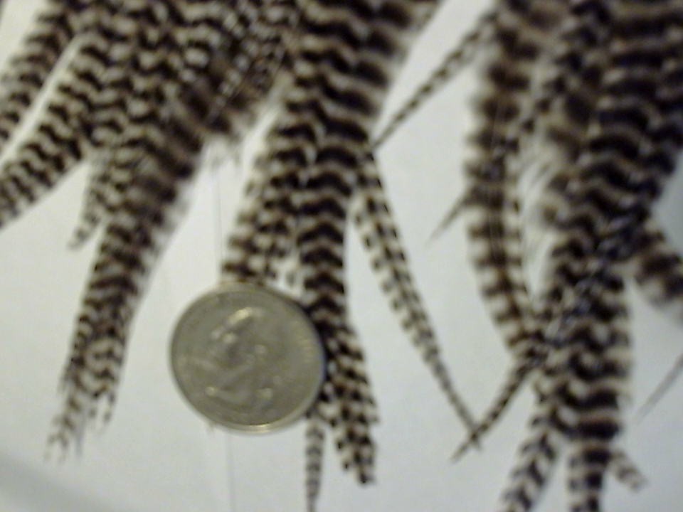 2 cape $40.00