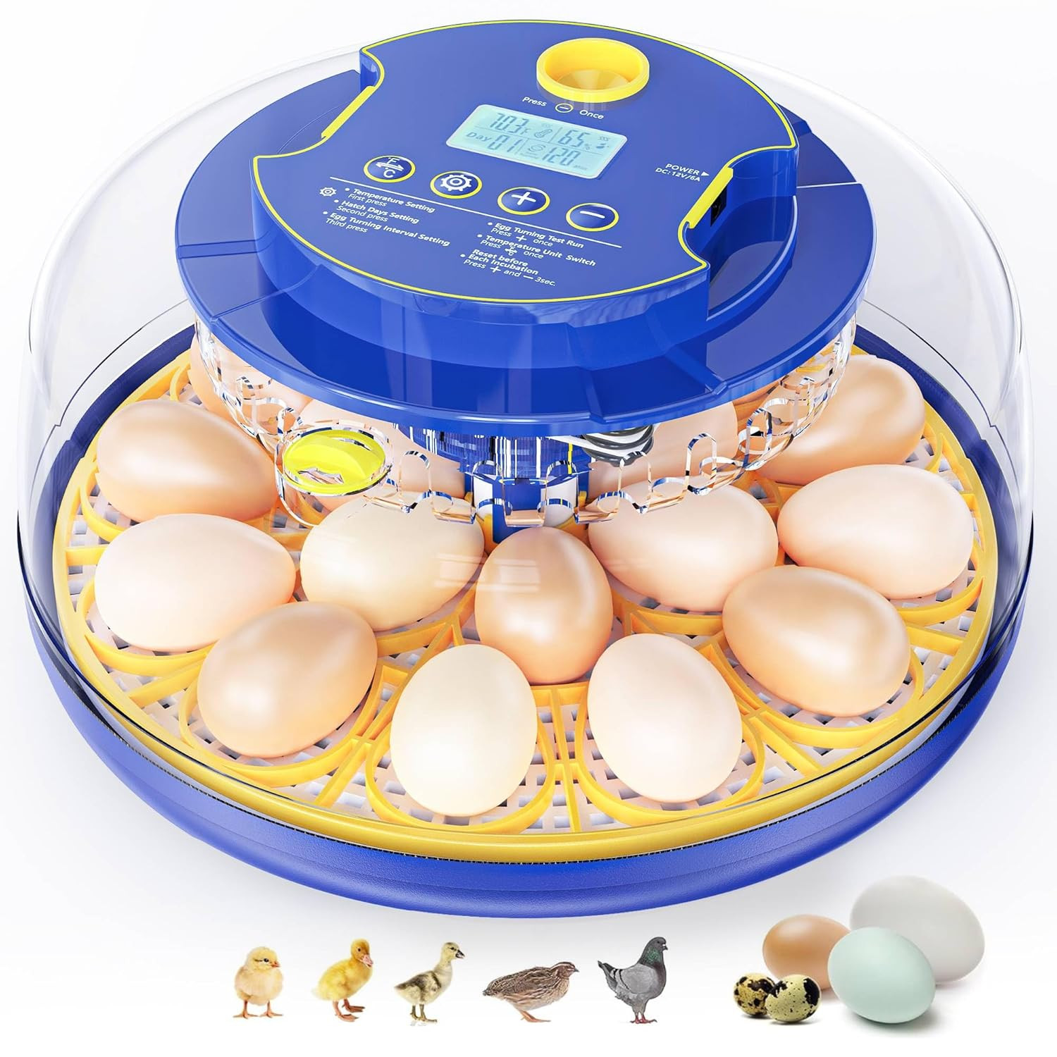18 Chicken Egg Incubators for Hatching Eggs: Egg Incubator with Automatic