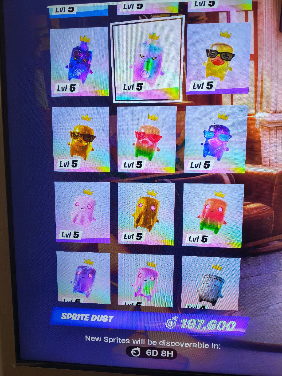 Fortnite- Any Spirit at level 5 (Galaxy, Gummy, Regular, Gold)