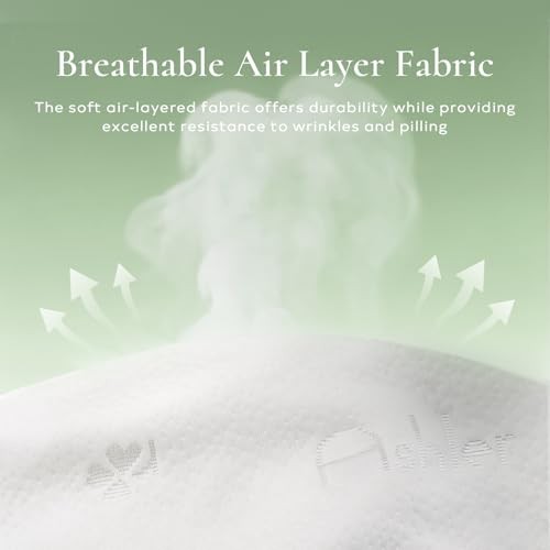 Ashler Throw Pillow InsertsxInches Set of,Firm and Fluffy 22x22 Inch 2