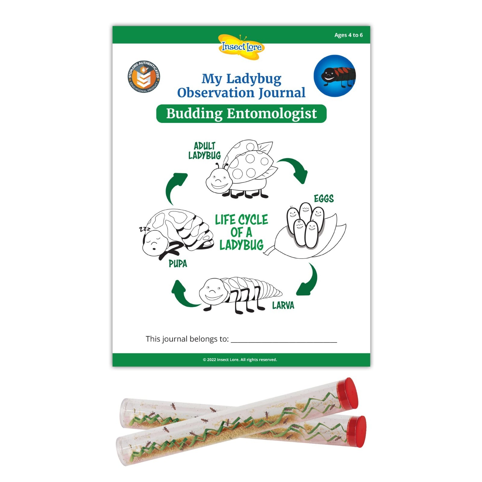 Ladybug Larvae Kit - 2 Tubes with STEM Journal - Raise & Release Pink Spotted La