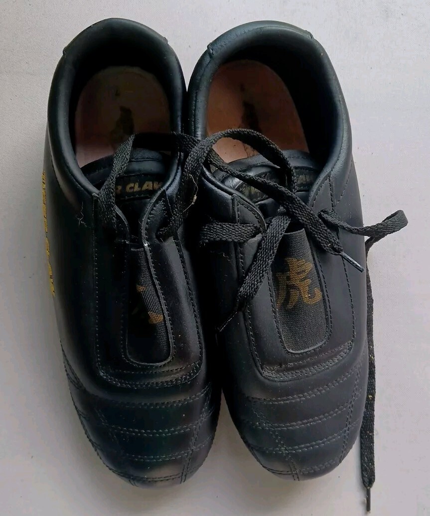 Tiger Claw,  Kung Fu Shoes. Size 7 .with Carrying Case