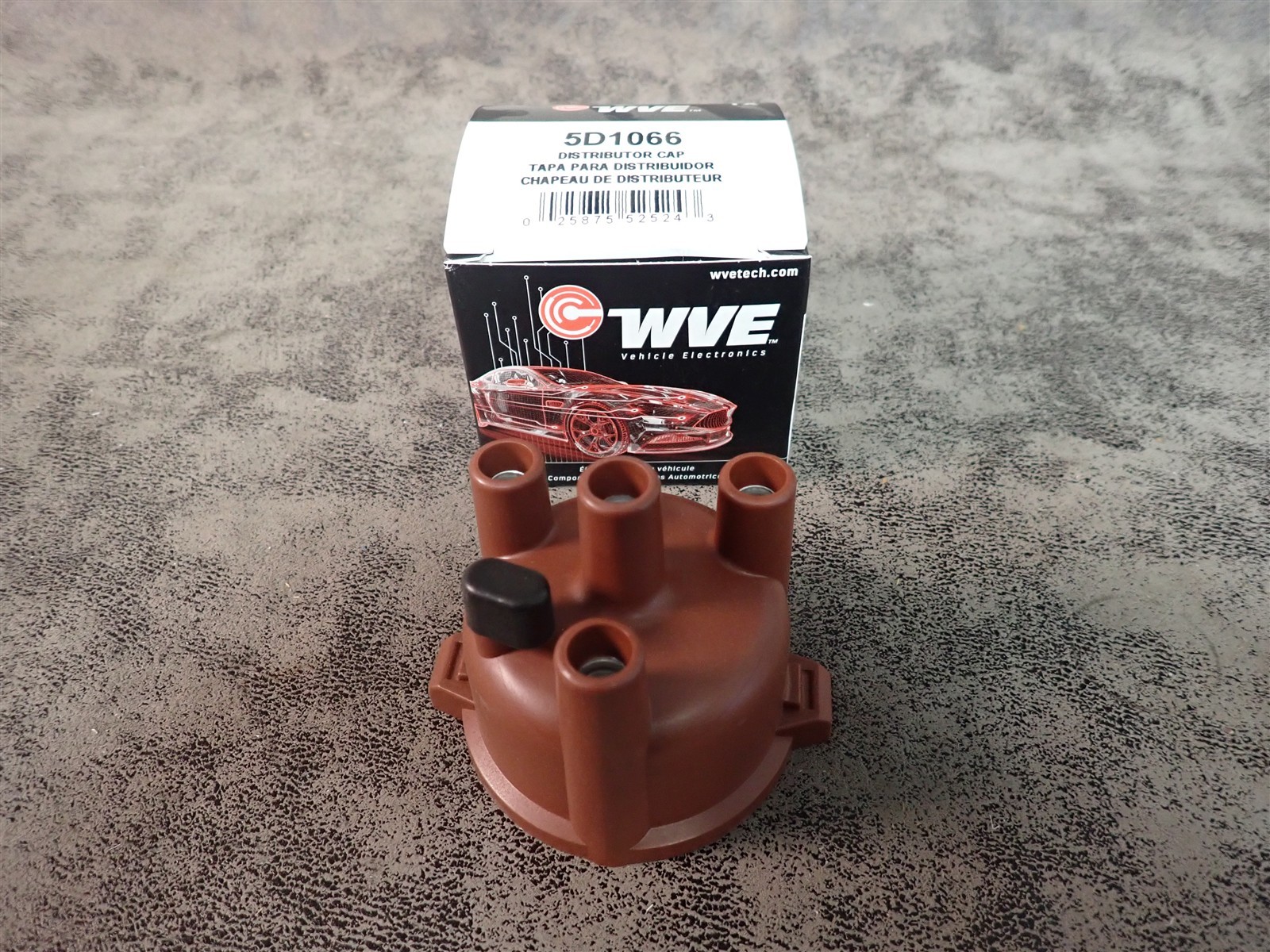 NEW WVE 5D1066 Distributor Cap (BN83)