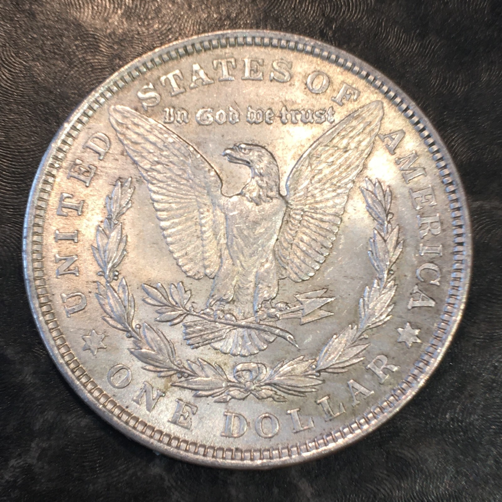1921 Morgan Dollar - High Quality Scans #P112