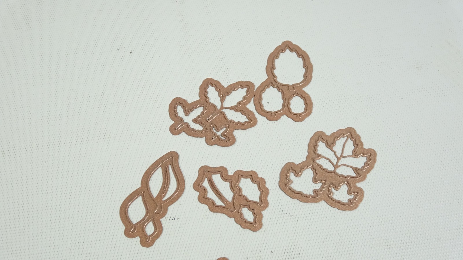 Spellbinder Shapeabilities Little Leaf Sets Fall Craft Dies S4385