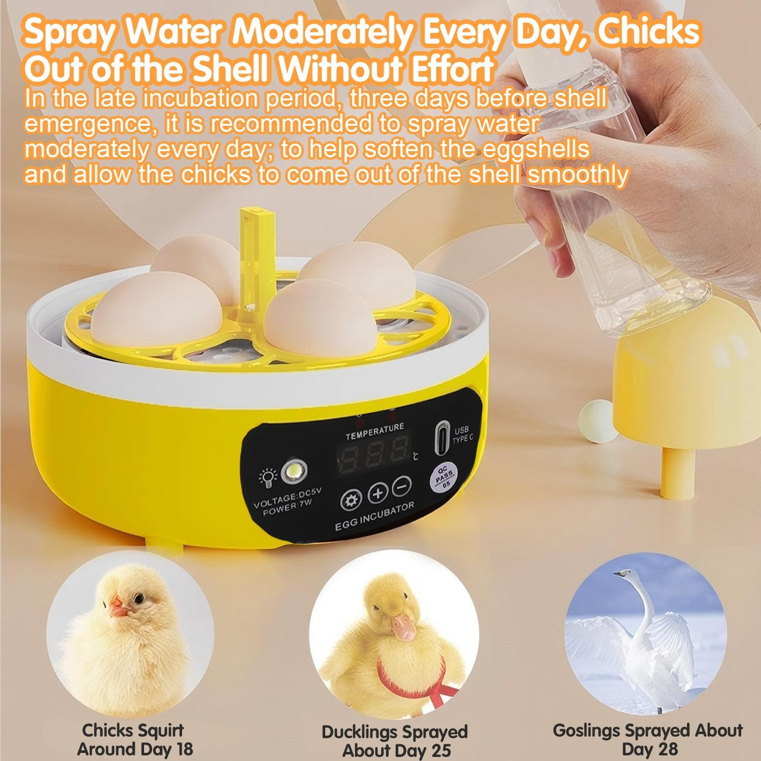 Tissting 4 Eggs Mini Incubator with Transparent Lid,7W Automatic Temperature Hum