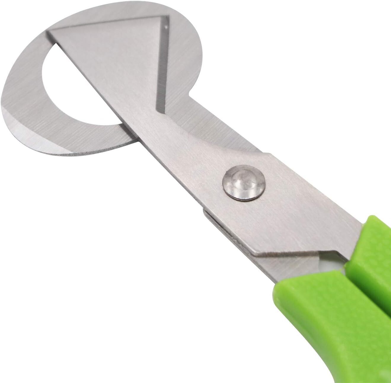 Quail Roast egg scissors eggshell scissors eggshell opening divider scissors Lot