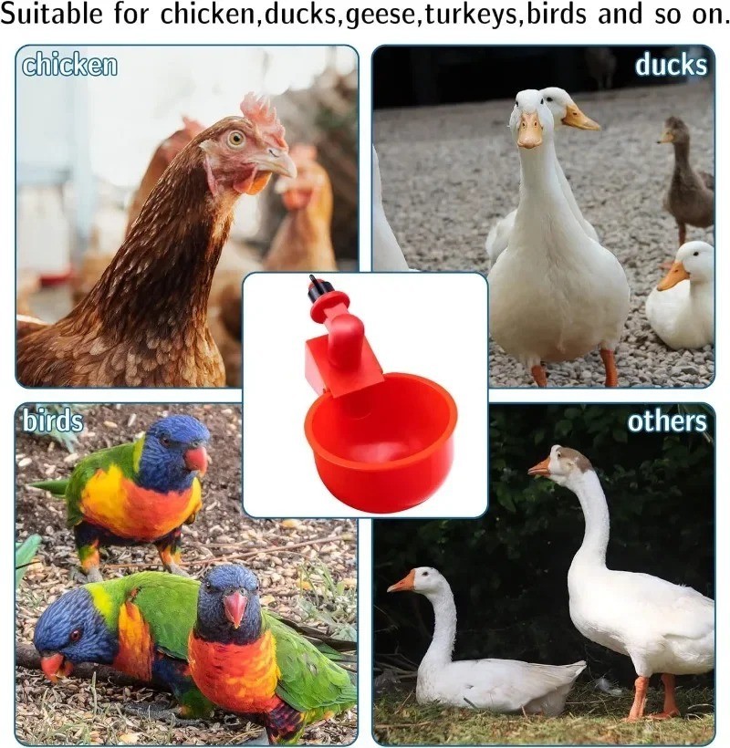 10PCS Chicken Waterer Cups 3/8 Inch Thread Poultry Drinking Feeder