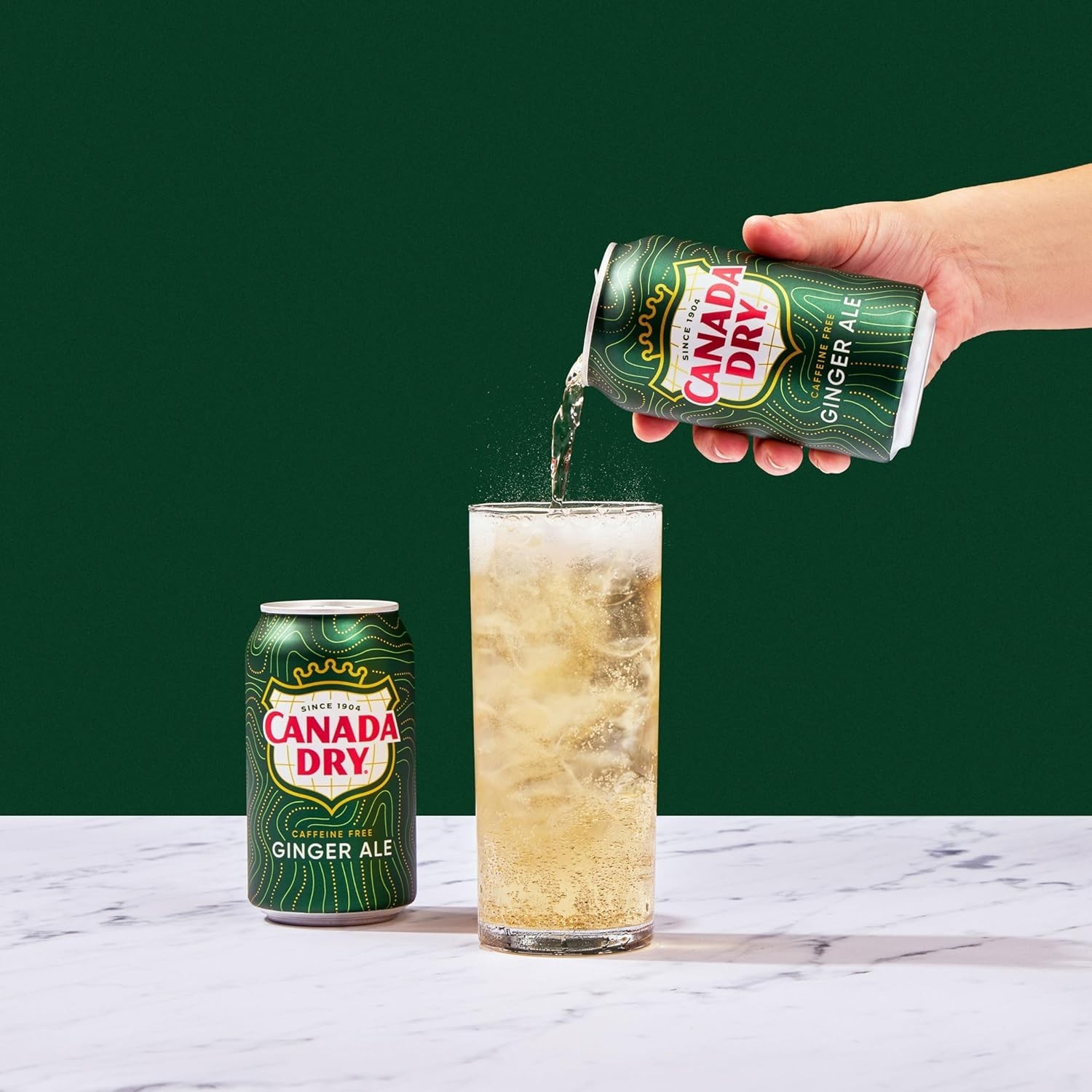 Ginger Ale Soda, 12 fl oz cans, 12 pack
