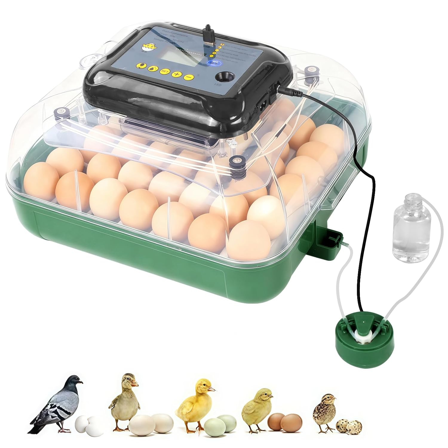 24 Egg Incubator for Hatching Eggs, 360° View Poultry Incubator, Automatic Egg T