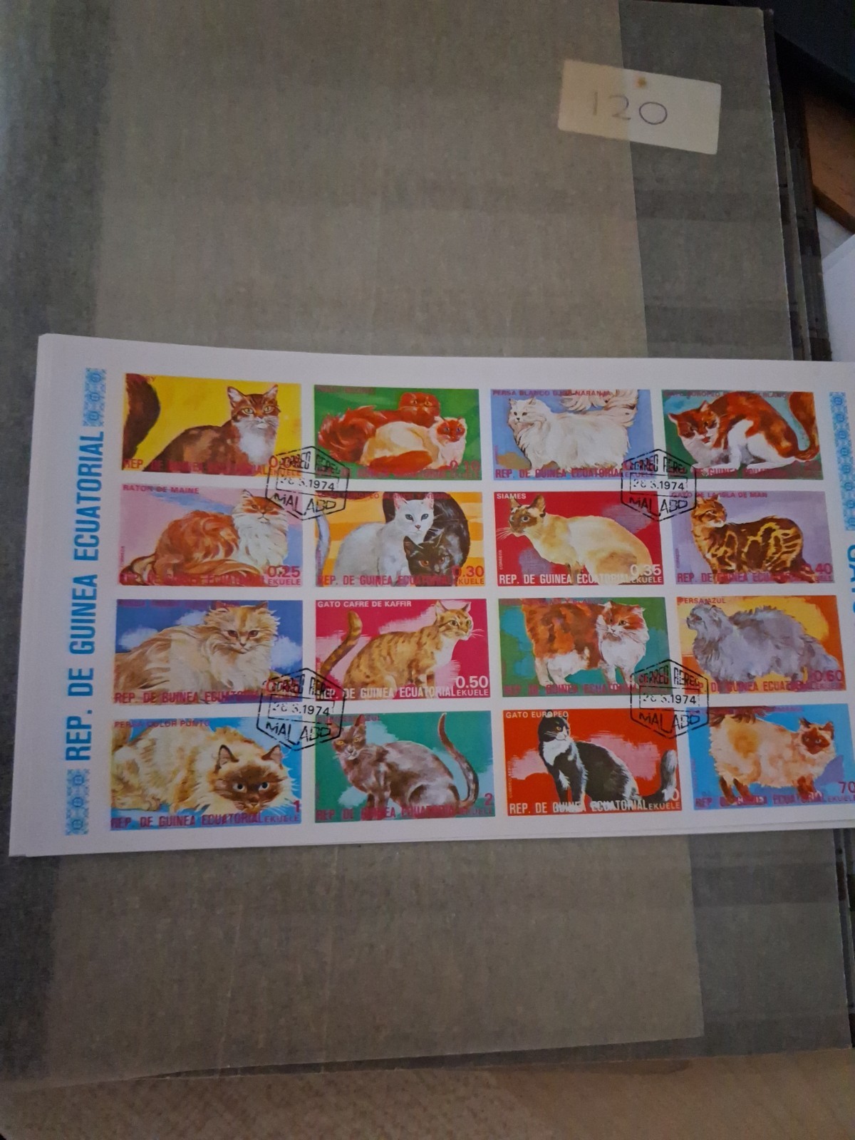 BLOCK POST STAMPS CATS REP. GUINEA EQUATORIAL (MBJJ120) USED