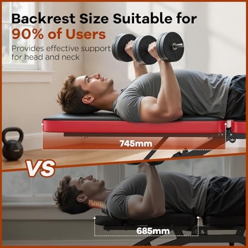 Basic Weight Bench for Home Gym, 8 Backrests Adjustable Bench with 660LBS