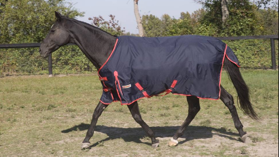 new 62'' McAlister 600D Waterproof Turnout Sheet horseloverz blue w Red trim