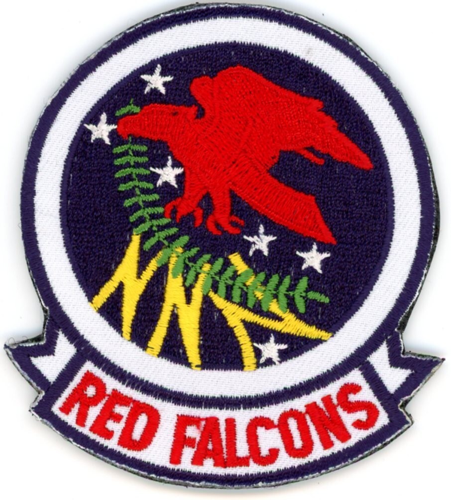 US Air Force Patch:  350th Air Refueling Squadron version 2