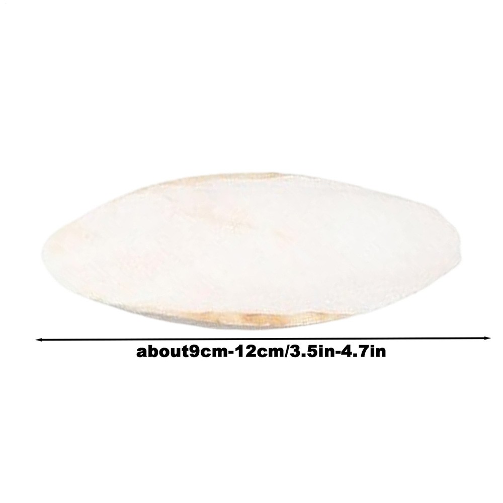 10PCS Cuttlebone Cuttlefish Bone Sepia Cuttle Fish Pet bird food Calcium Set