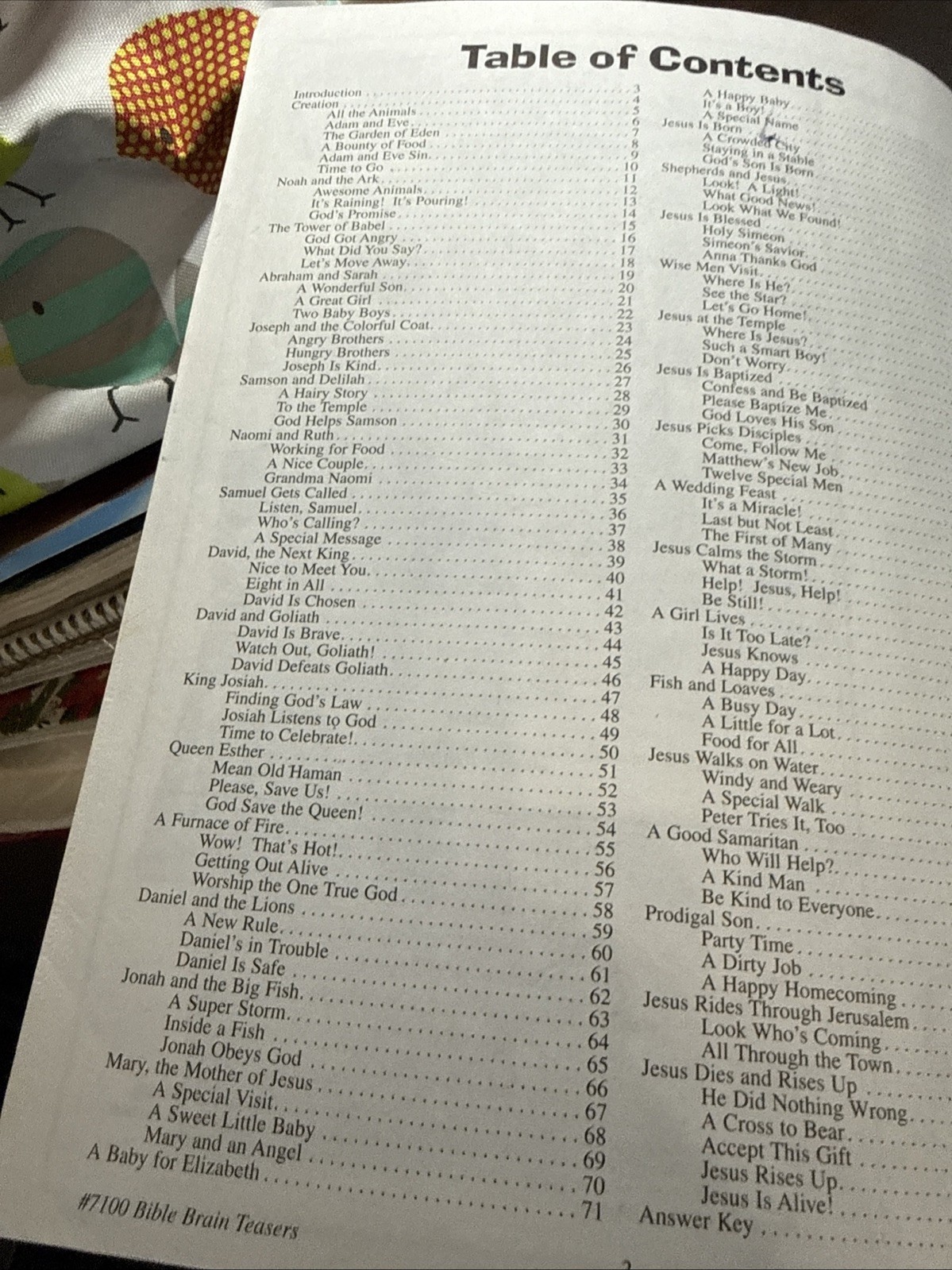 Bible Brain Teasers Ages 5-9 Teacher Created Material, 2002