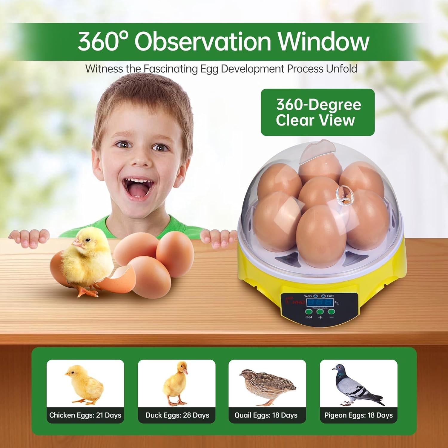 Lightweight 7-Egg Incubator - Automatic Temperature & Manual Humidity Control