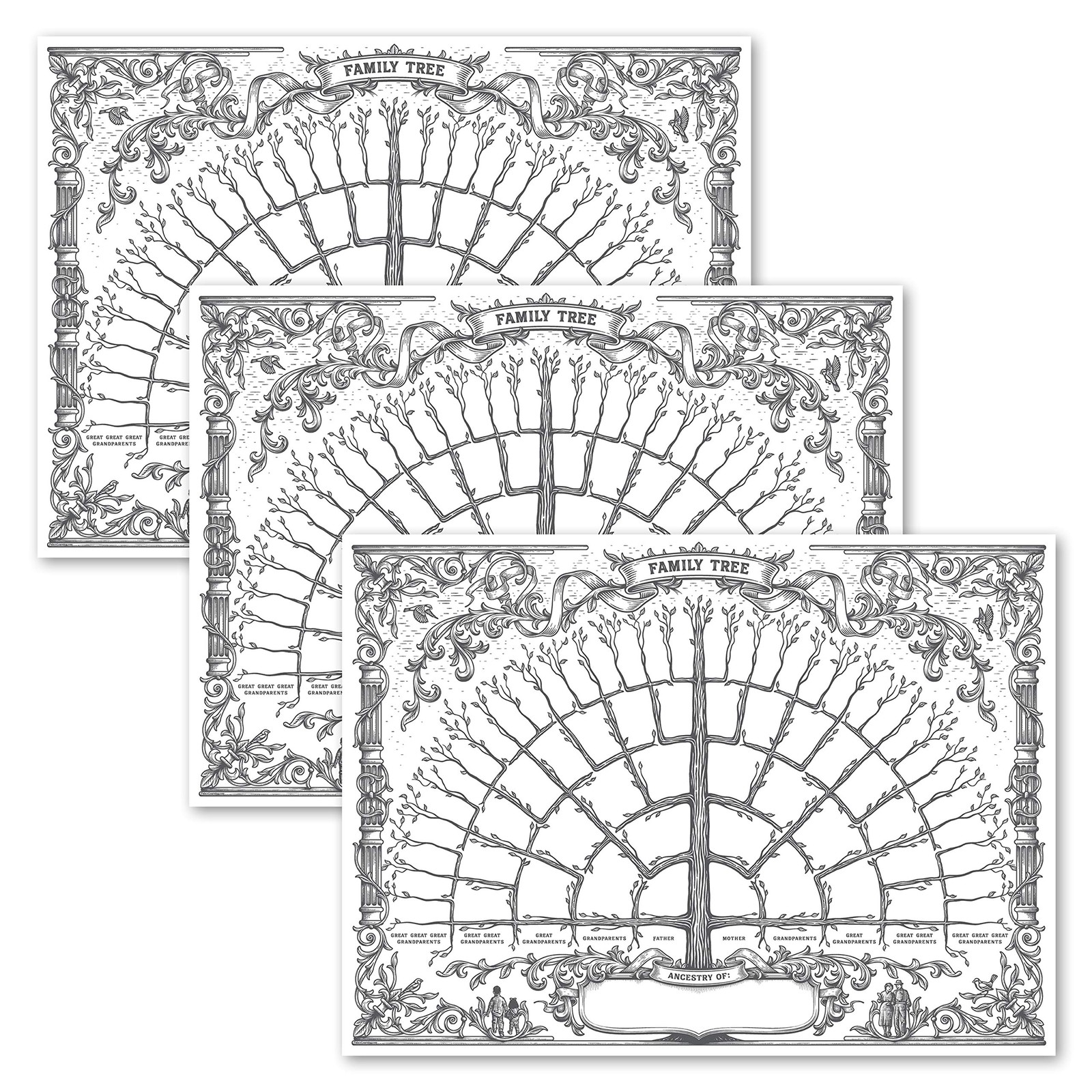 Palace Learning 3 Pack - Family Tree Chart To Fill In- 6 "18" x 24", White