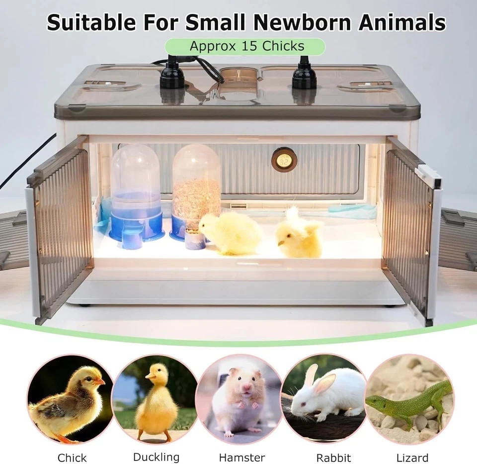 Brooder Box for Chicks Quail Brooder Box with Thermostat Poultry Heater
