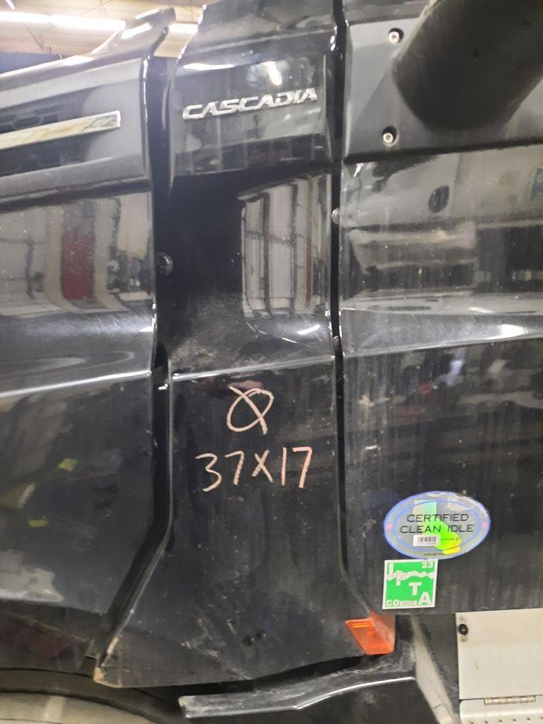 For 2019 FREIGHTLINER CASCADIA 126 COWL N/A ,  CO
