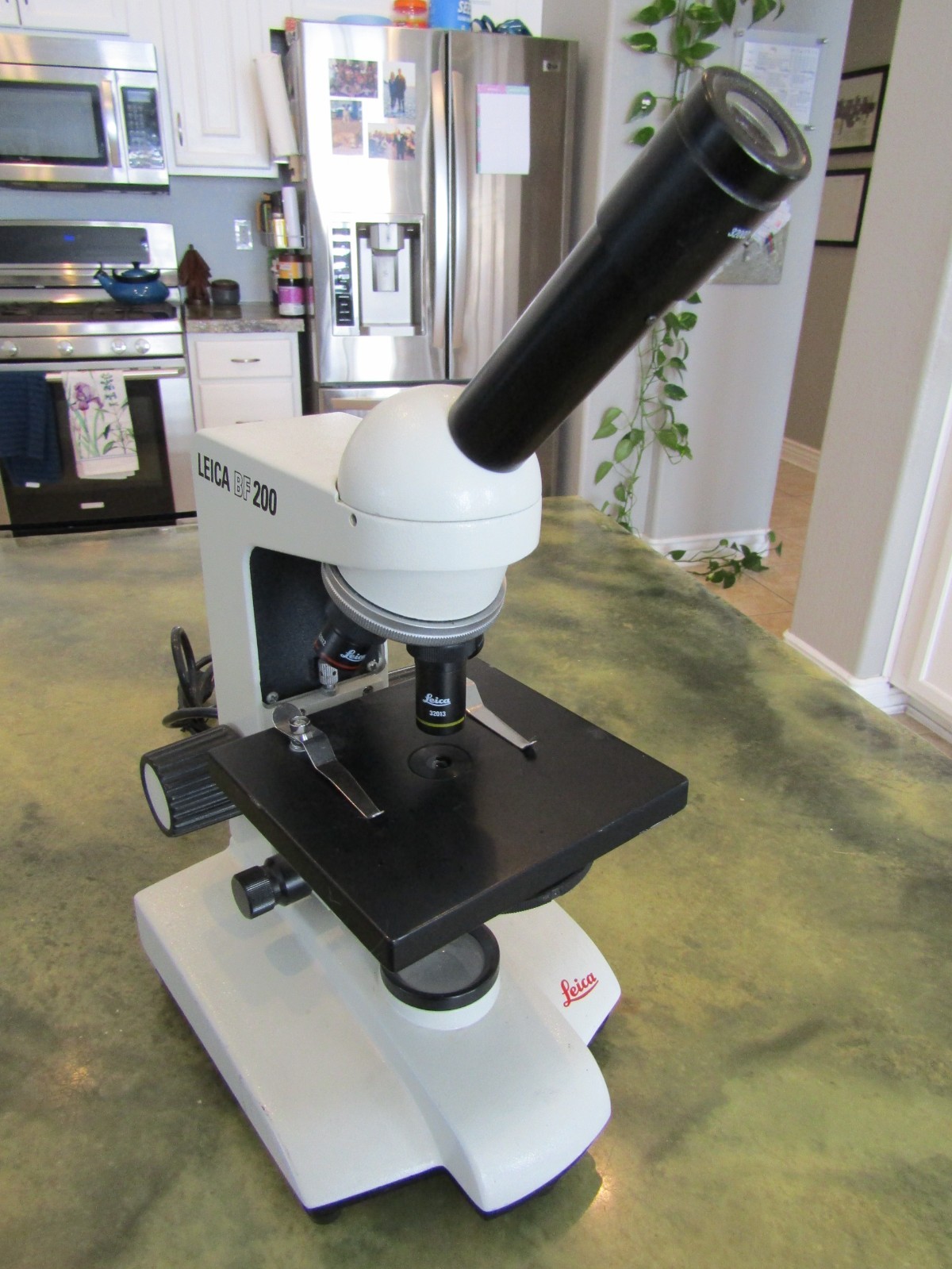Genuine Leica BF 200 Monocular Compound Built in Illumination Lamp Microscope