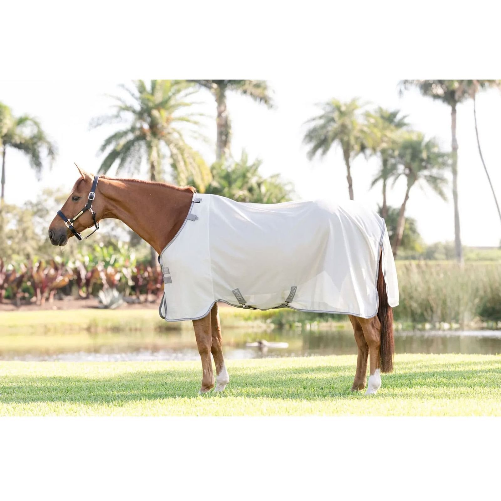 HORSEWARE IRELAND Amigo Bug Rug Silver/Titanium Gray/Silver Fly Sheet