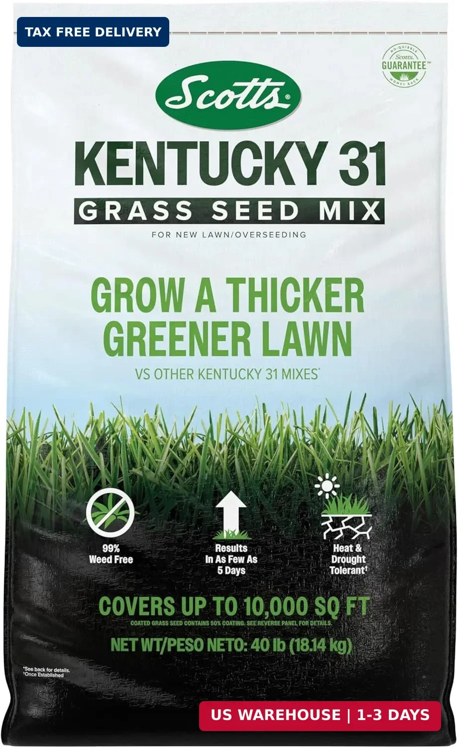 Kentucky 31 Grass Seed Mix - Premium Lawn Grass Seed, Covers Up to 10,000
