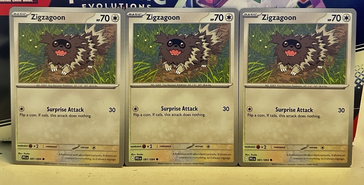 (Set Of 3) Pokemon Phantasmal Flames Series Common Card - Zigzagoon 081/094