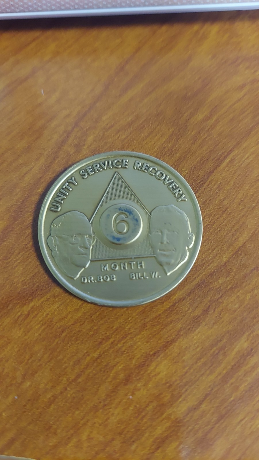 Alcoholics Anonymous AA 6 Month Bronze Medallion Coin Chip Token Sobriety Sober