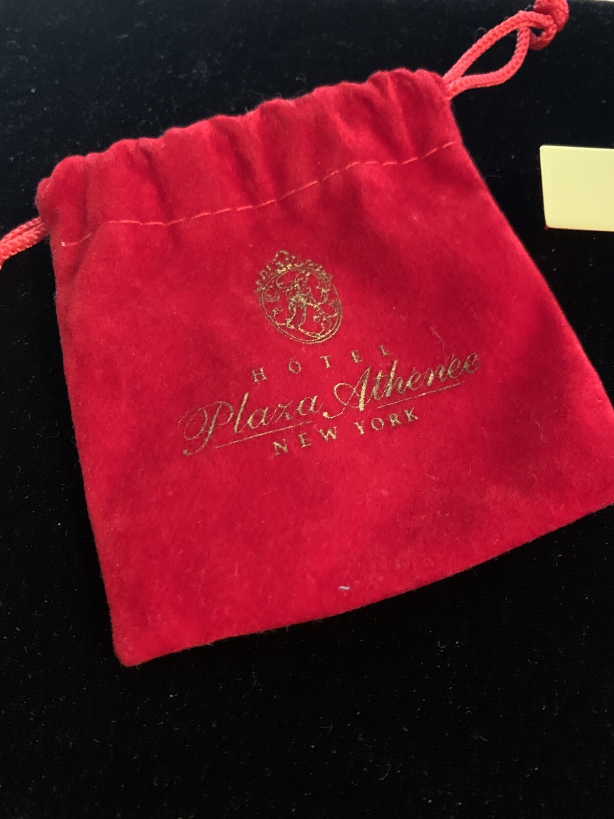 Scan disc (new) Flash Drive from Hotel Plaza Athenee