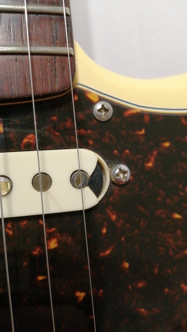 VANZANDT STV-R3 Electric Guitar