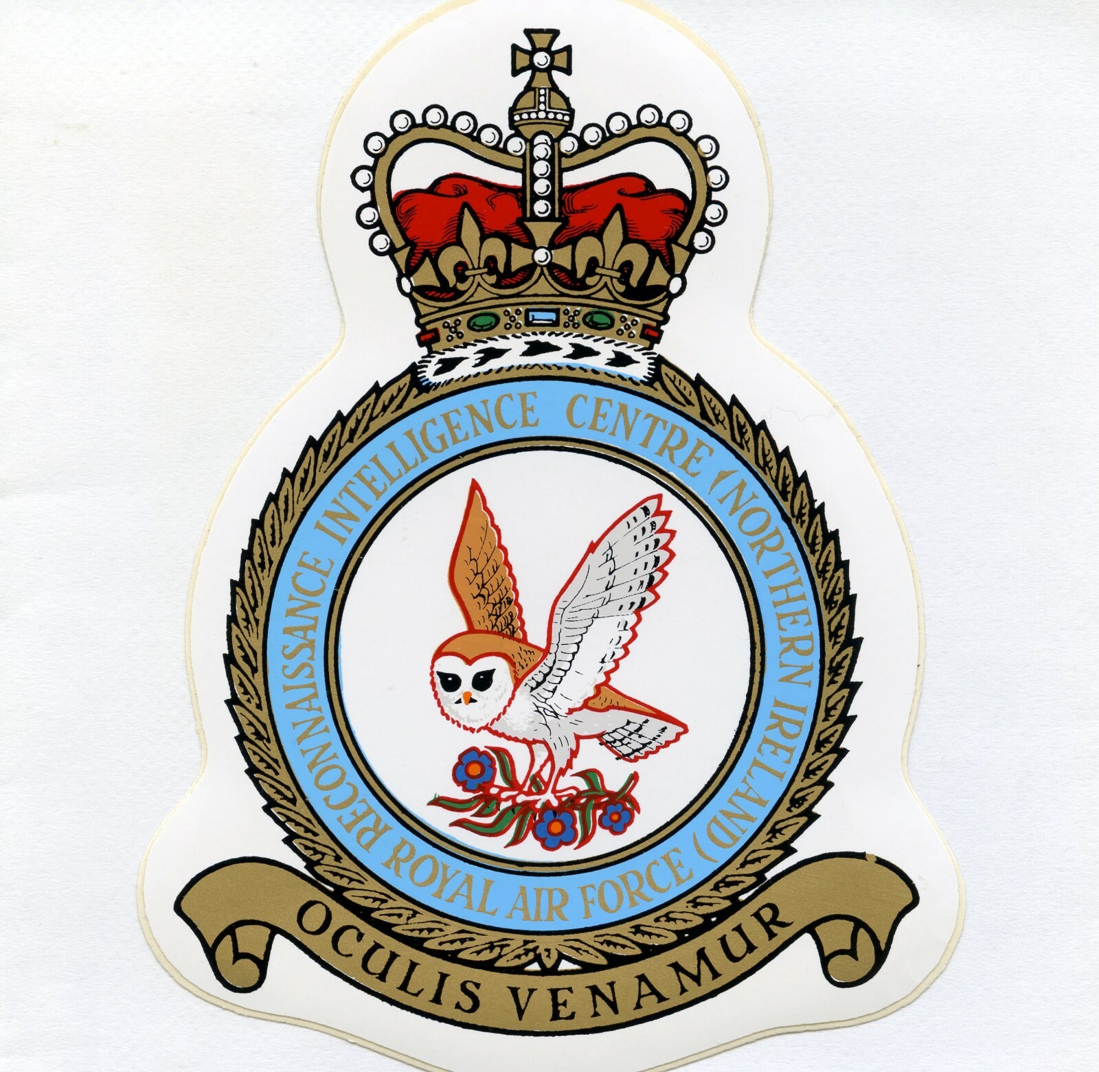 RAF RECONNAISSANCE INTELLIGENCE CENTRE CREST STICKER