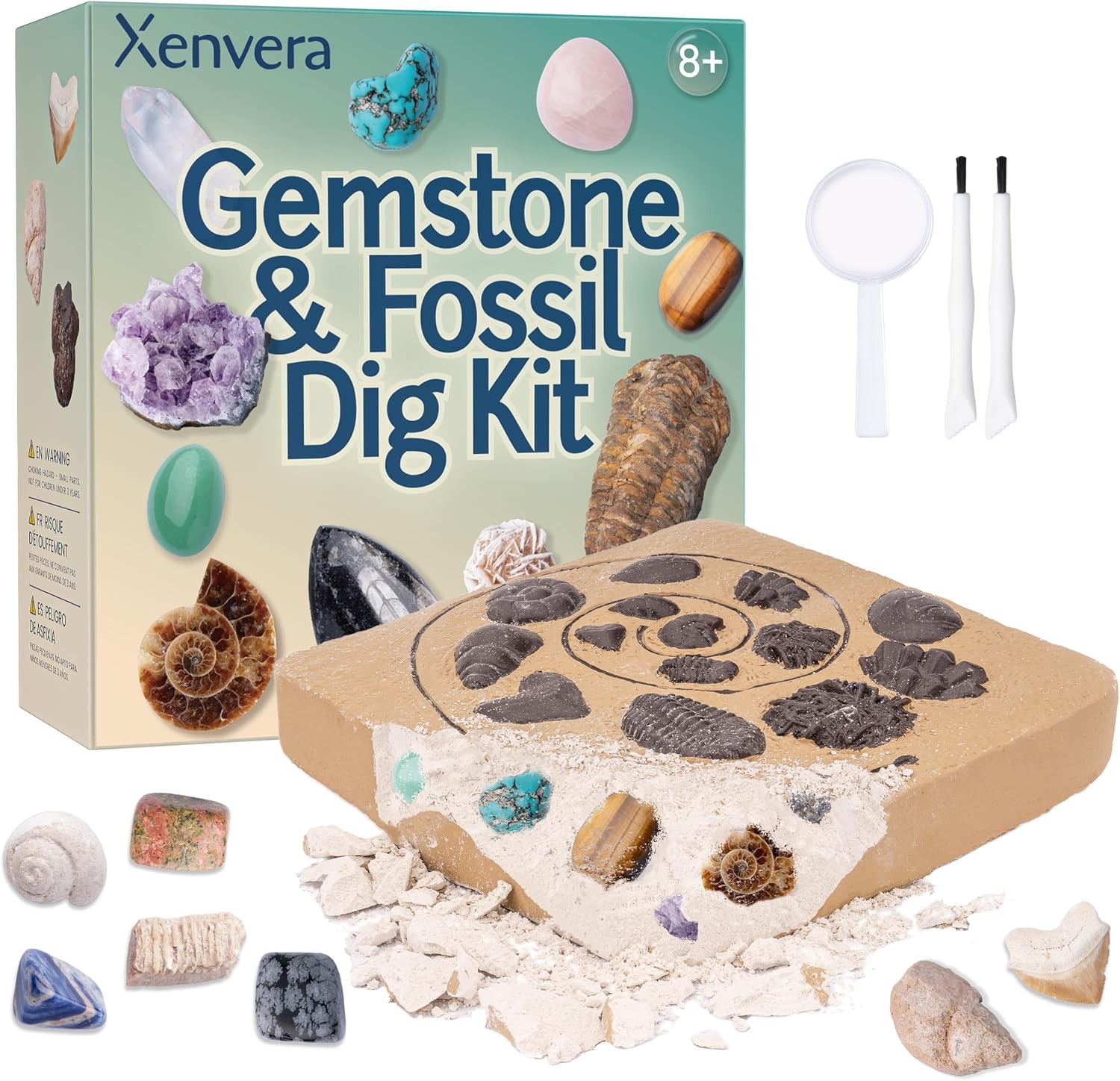 Gemstone and Fossil Dig Kit � Excavate 10 Gems and 10 Fossils, STEM Geology S...