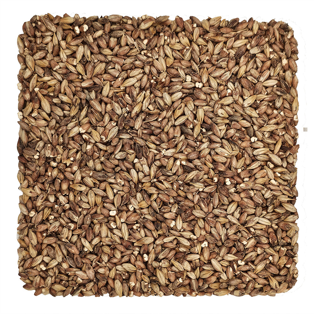 Home Brew Ohio Special Roast Grain 1lb