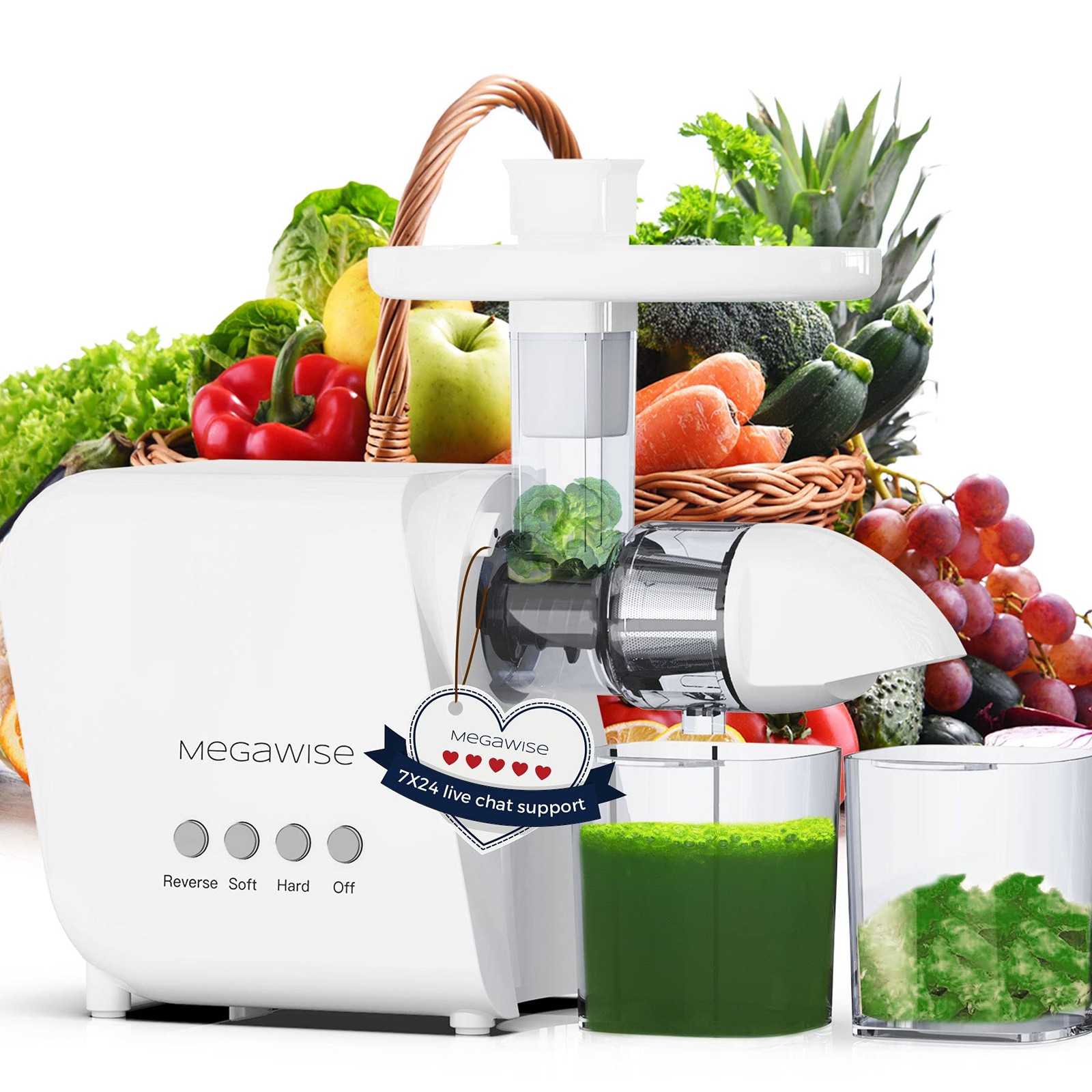 Pro 2025 Updated Slow Masticating Juicer, 95% Juice Yield, 2-Speed & 9-Segmen...