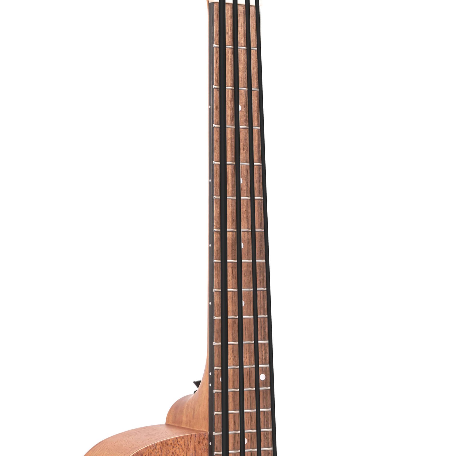 Gold Tone M-Bass25FL | New | Authorized Dealer