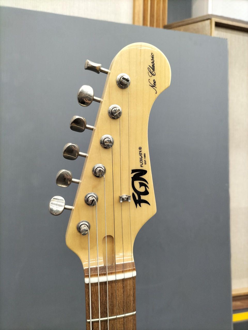 Fujigen Top Grade Tele NTE210RAH-BK Used