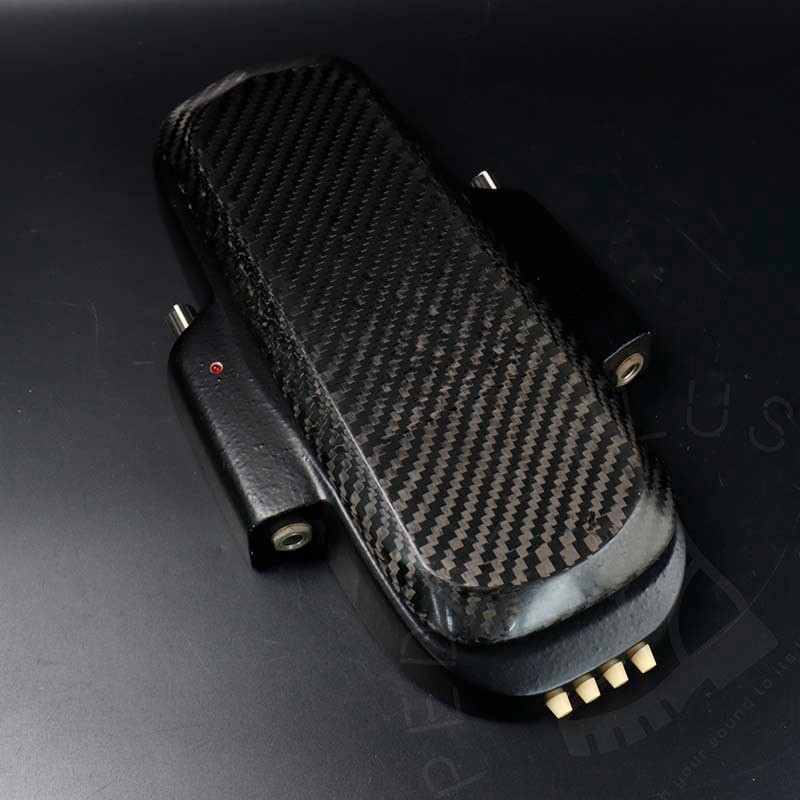 Roger Mayer Vision Wah