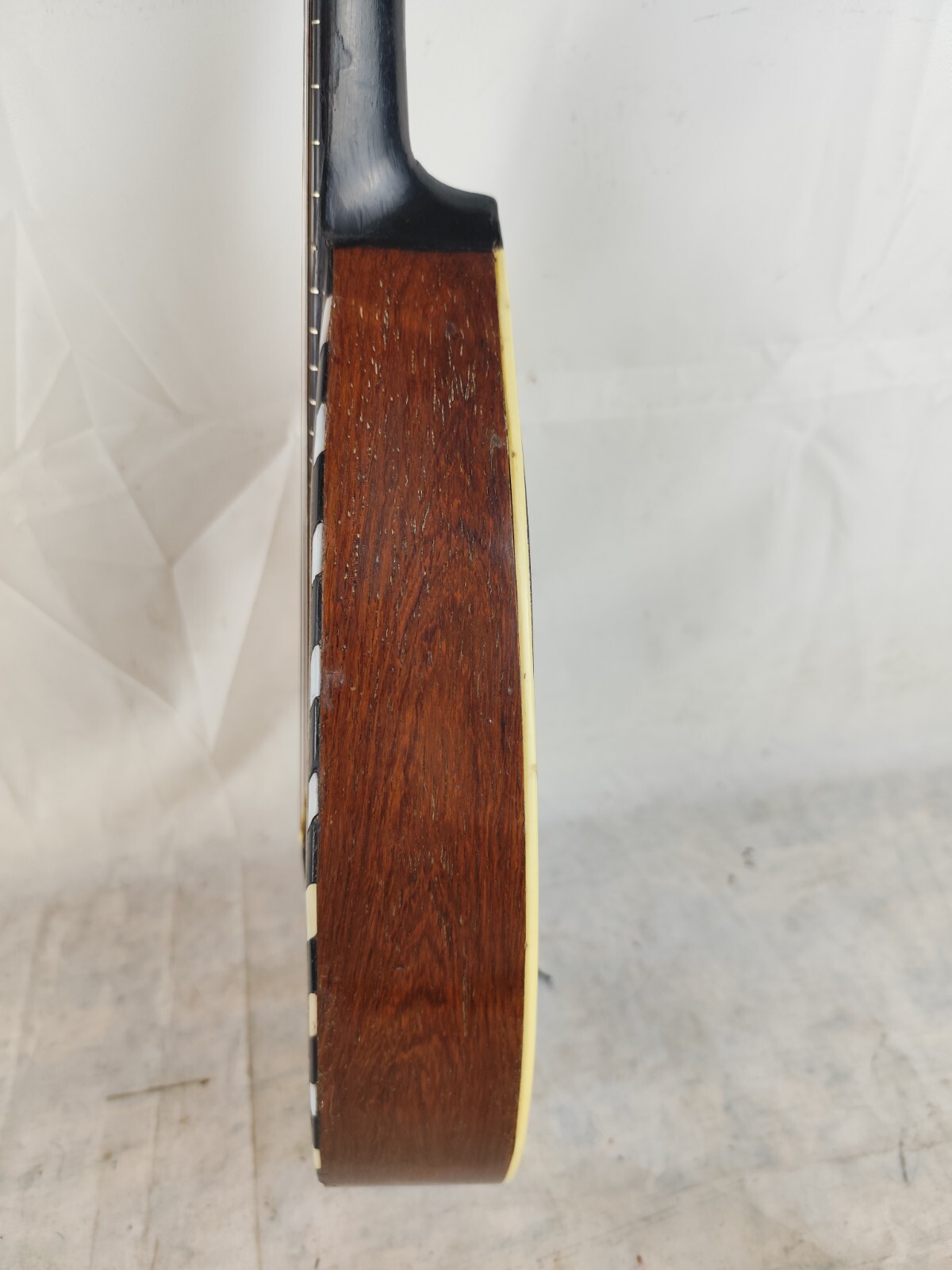 Mandolin 4/4 Antonio Monzino 1910 Milan 曼陀林 만돌린マンドリン