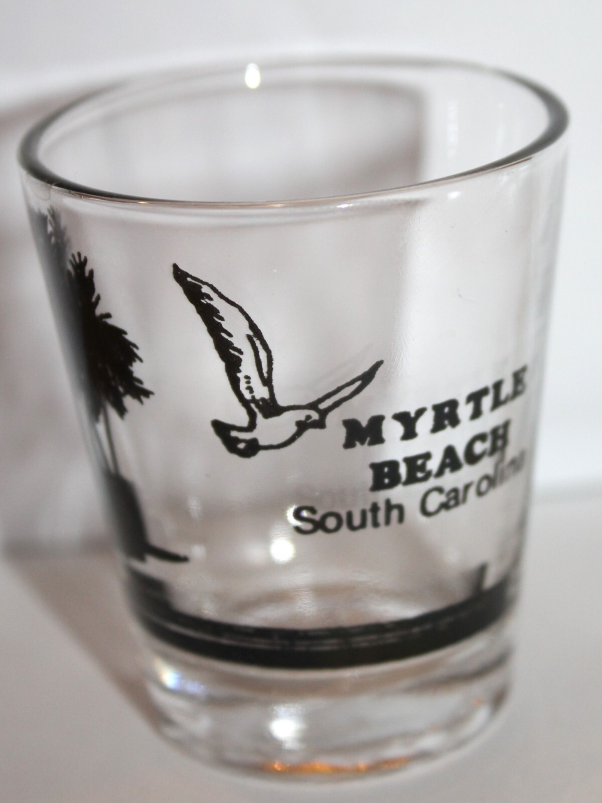Vintage Myrtle Beach Shot Glass Souvenir Sea Gull Palm Tree